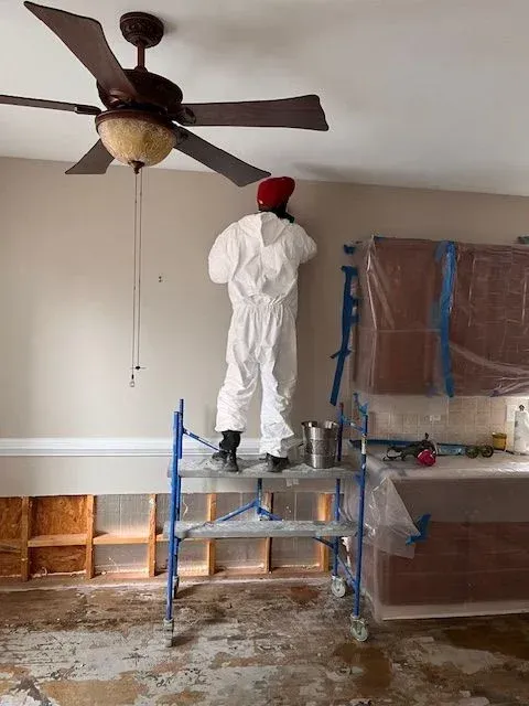 How to Remove Mold from Your Attic and Prevent It from Coming Back