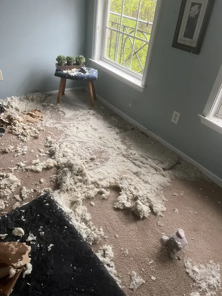 Technician removing wet insulation after a ceiling leak in a Georgia home